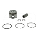 New 1051710PK Piston Kit Replacement suitable for Caterpillar Equipment