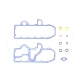 New 1243686 Oil Cooler & Lines Gasket Kit Replacement suitable for Caterpillar 3116 Engine Serial Nos. 98Z