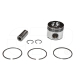 New 1646556PK Piston Kit Replacement suitable for Caterpillar Equipment
