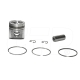 New 1654262PK Piston Kit Replacement suitable for Caterpillar Equipment