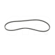 New 1663358 V-Belt Single Replacement suitable for Caterpillar Equipment