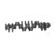 New 1694189 Crankshaft Replacement suitable for Caterpillar Equipment