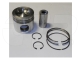 New 1979297PK Piston Kit Replacement suitable for Caterpillar Equipment