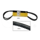 New 1N4223 Belt Set(2) Replacement suitable for Caterpillar PR-450, PR-450C, 3204, 3408, 3408C, 3408E, 3408B, 3034, and more