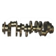 New 1W5009 Crankshaft W/Gear Replacement suitable for Caterpillar Equipment