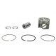 New 3220329PK Piston Kit Replacement suitable for Caterpillar Equipment
