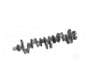 New 3348389 (2W7458) Crankshaft W Gear Replacement suitable for Caterpillar Equipment